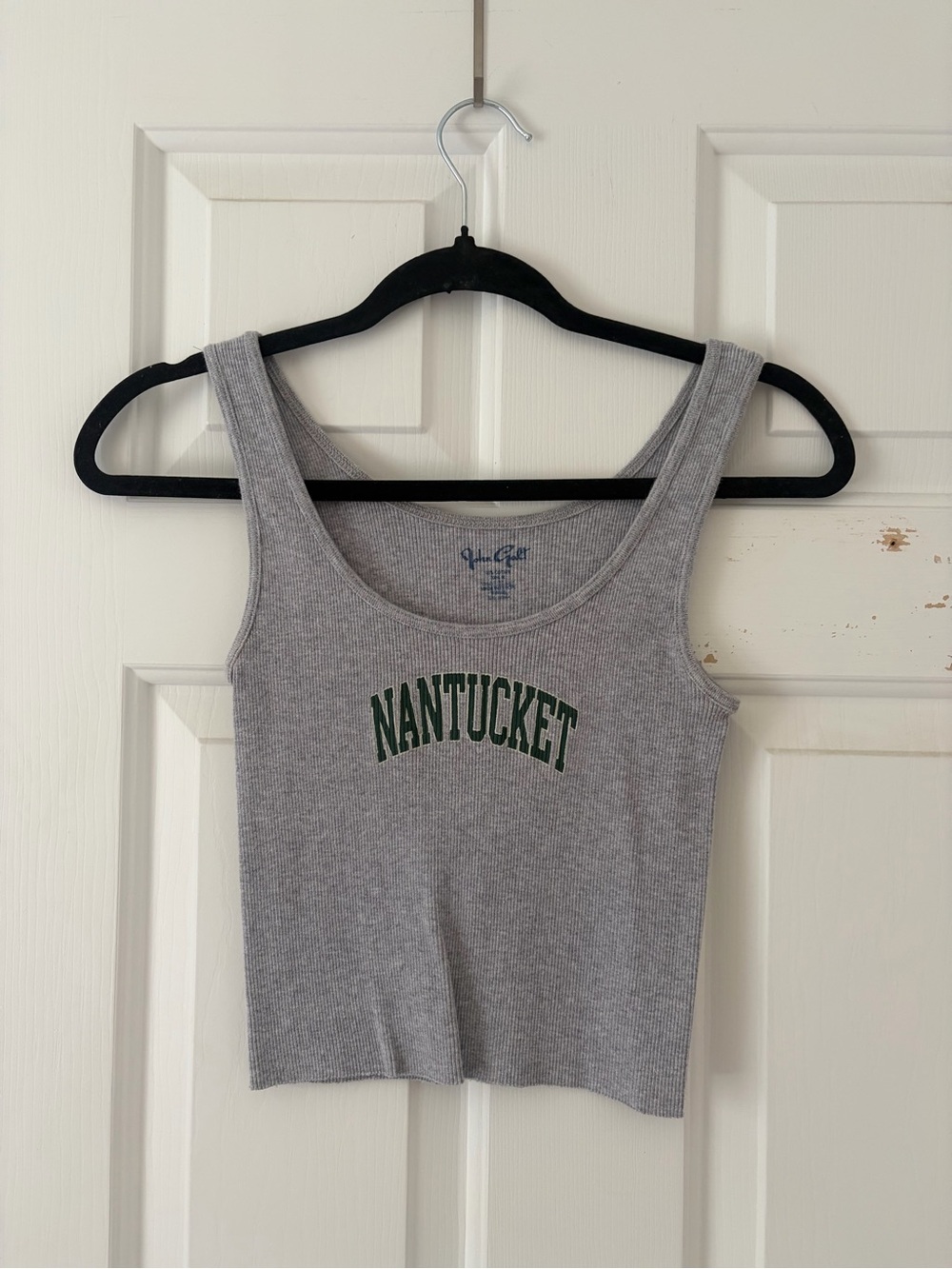 Brandy Melville Gray Ribbed Nantucket Crop Tank with Green Lettering